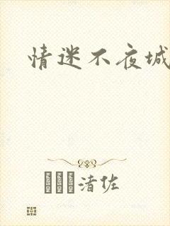 情迷不夜城