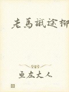 老马识途柳娇娇