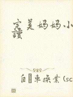 完美妈妈小说阅读