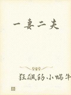 一妻二夫