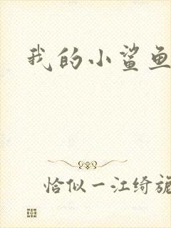 我的小鲨鱼