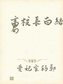 高校长白结大结局