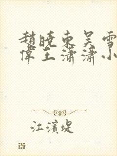 赵晓东吴雪晴郑伟王潇潇小说名字