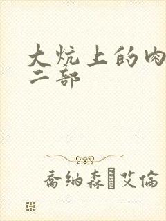 大炕上的肉伦第二部