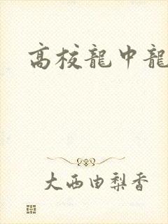 高校龙中龙