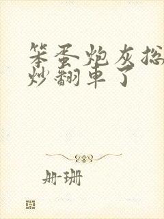 笨蛋炮灰总被爆炒翻车了