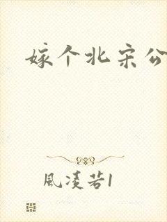 嫁个北宋公务员