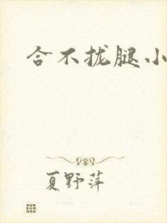 合不拢腿小说