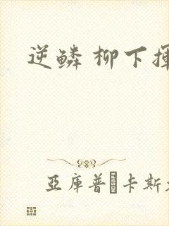 逆鳞 柳下挥