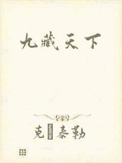 九藏天下