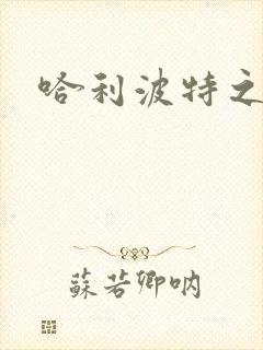 哈利波特之守护