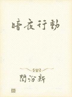 暗夜行动