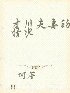 才川夫妻的恋爱情况