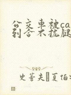 公交车被cao到合不拢腿视频