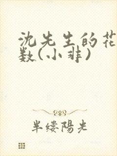 沈先生的花式调数(小非)