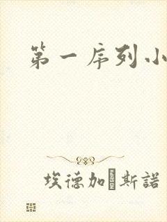 第一序列小说