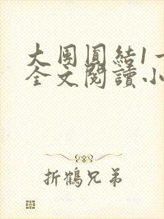 大团圆结1一6全文阅读小说