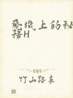 飞机上的秘密服务H