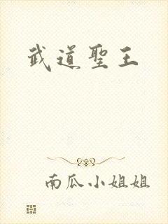 武道圣王