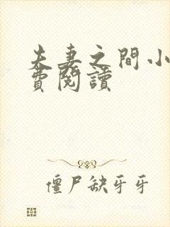 夫妻之间小说免费阅读