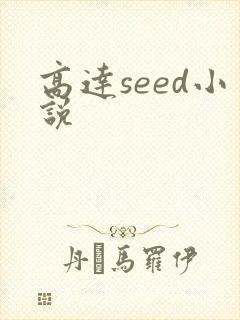 高达seed小说