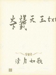 火爆天王txt下载