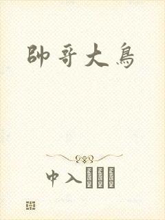 帅哥大鸟