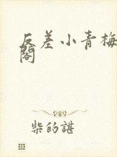 反差小青梅笔趣阁