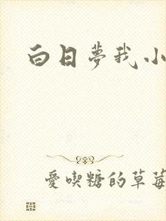 白日梦我小说
