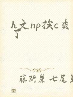 h文np挨c爽了
