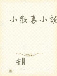 小欢喜小说