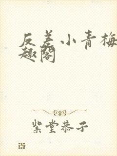 反差小青梅 笔趣阁