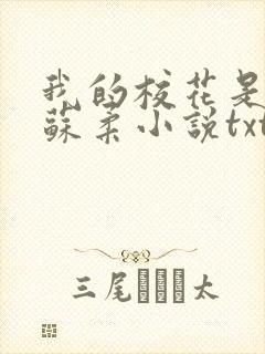 我的校花是福姬苏柔小说txt