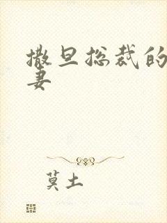 撒旦总裁的下堂妻