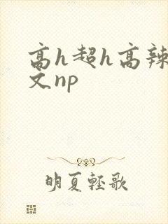 高h超h高辣h文np