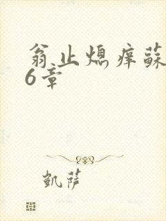 翁止熄痒苏玥第6章