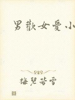 男欢女爱小说