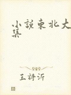 小说东北大炕全集