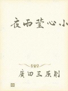 夜雨莹心小说