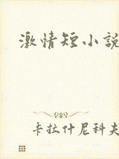 激情短小说