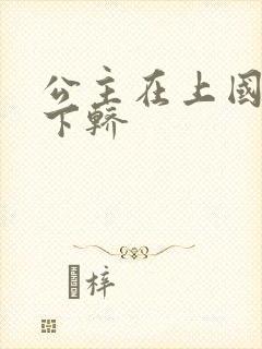 公主在上国师请下轿