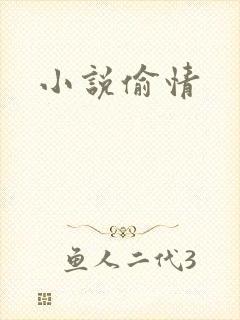 小说偷情