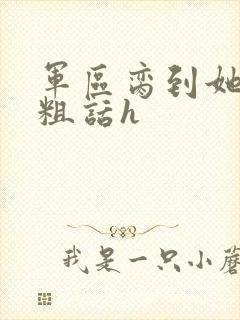 军区脔到她哭h粗话h