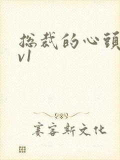 总裁的心头宝1v1