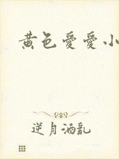 黄色爱爱小说