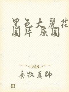 黑色大丽花真实图片 原图