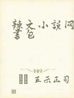 辣文小说网第二书包