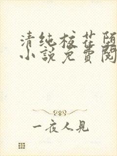 清纯校花堕落记小说免费阅读