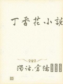 丁香花小说