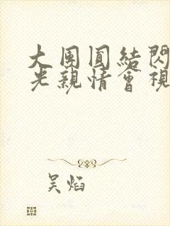 大团圆结闪闪发光亲情会视频